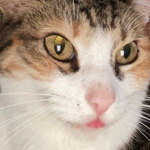 Meet your Posher, Kailey